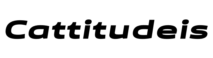 Canyon PERSONAL USE ONLY Black Italic  Free Fonts Download