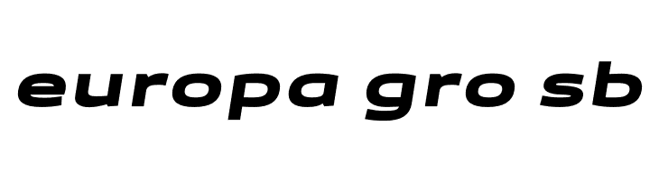 Canyon PERSONAL USE ONLY Black Italic  Free Fonts Download