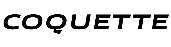 Canyon PERSONAL USE ONLY ExtraBold Italic  Free Fonts Download