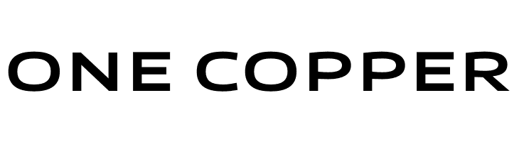 Canyon PERSONAL USE ONLY Bold  Free Fonts Download