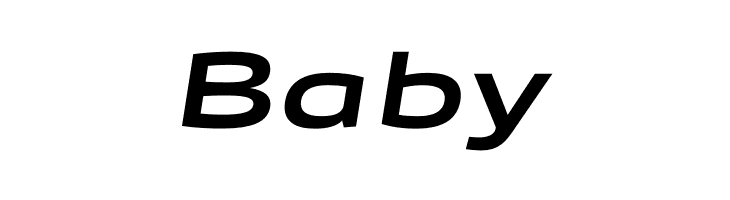 Canyon PERSONAL USE ONLY Bold Italic  Free Fonts Download