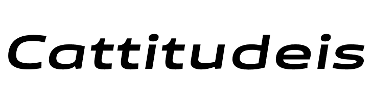 Canyon PERSONAL USE ONLY Bold Italic  Free Fonts Download