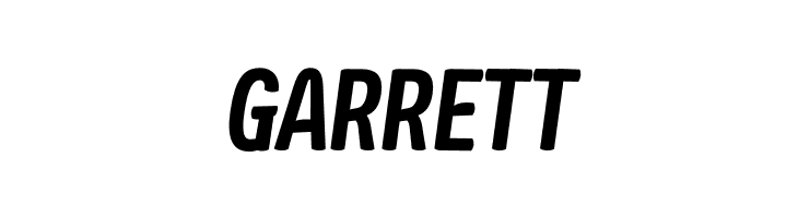 Ledare Bold Italic PERSONAL USE ONLY  Free Fonts Download