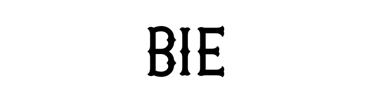 Patched PERSONAL USE ONLY Medium  Free Fonts Download