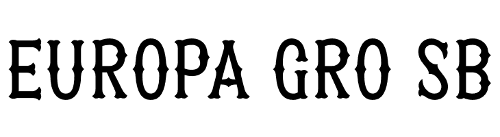 Patched PERSONAL USE ONLY Medium  Free Fonts Download