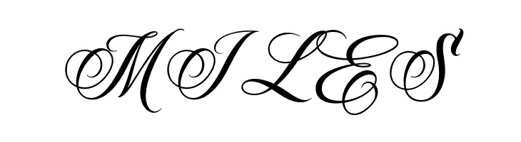 Myteri Script PERSONAL USE ONLY Regular PERSONAL USE ONLY  Free Fonts Download