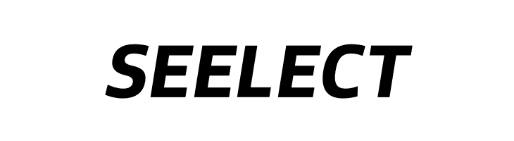 Famiar PERSONAL USE ONLY Bold Italic  Free Fonts Download