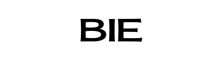 MollySansEPERSONAL-Medium  Free Fonts Download