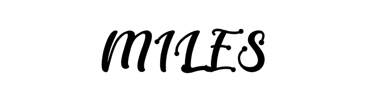 Berlineta DEMO  Free Fonts Download