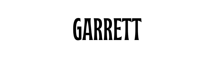 Garyford PERSONAL USE ONLY Reg  Free Fonts Download