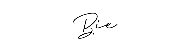 Anjel Script  Free Fonts Download