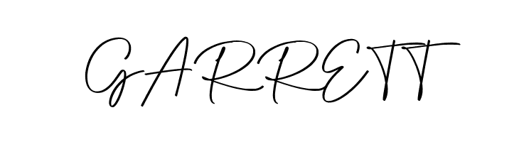 Anjel Script  Free Fonts Download