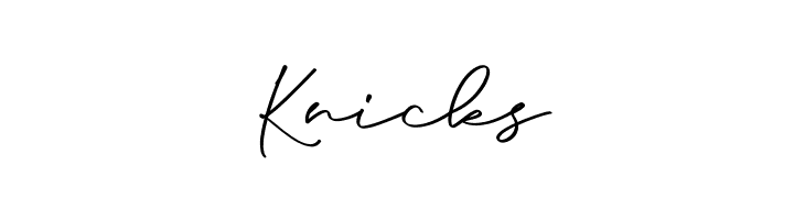 Anjel Script  Free Fonts Download