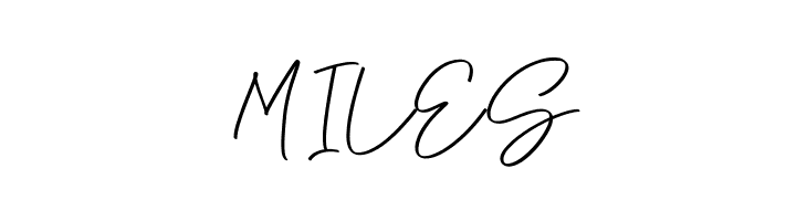 Anjel Script  Free Fonts Download