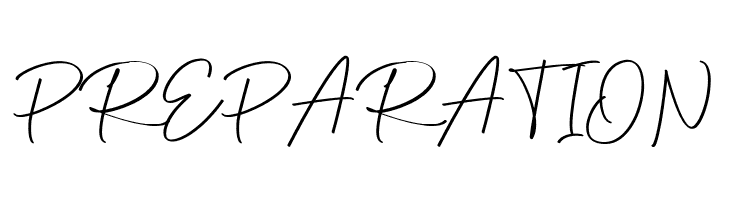 Anjel Script  Free Fonts Download