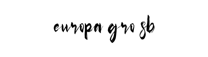 Bestons Free Regular  Free Fonts Download