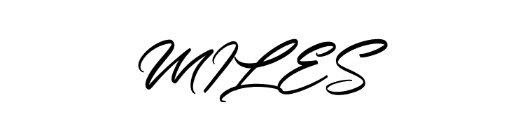 Outeris Free Font  Free Fonts Download