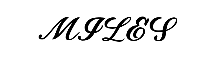 Fattoll Free  Free Fonts Download