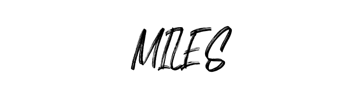 Better Brights Brush Regular  Free Fonts Download