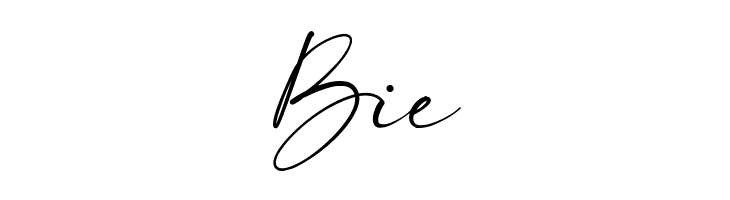 Bierang Free  Free Fonts Download