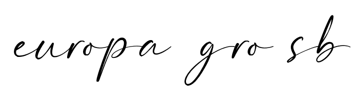 Bierang Free  Free Fonts Download