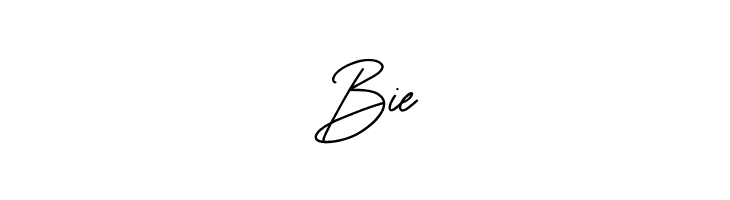 Suarte Free  Free Fonts Download