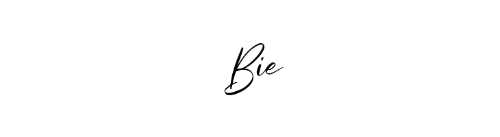 Elfashion Free Regular  Free Fonts Download