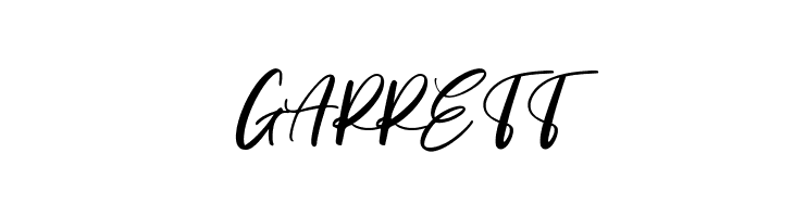 Acronits Free Regular  Free Fonts Download