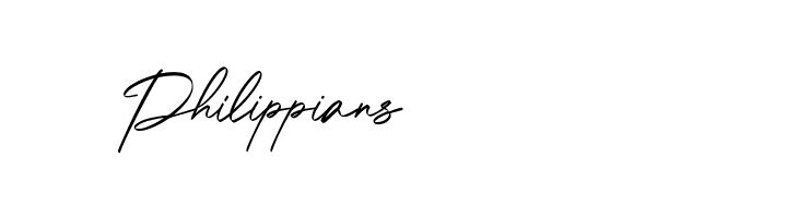 Le Patterns Free Regular  Free Fonts Download