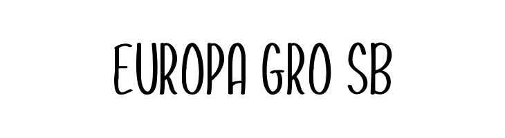 Bonrin  Free Fonts Download