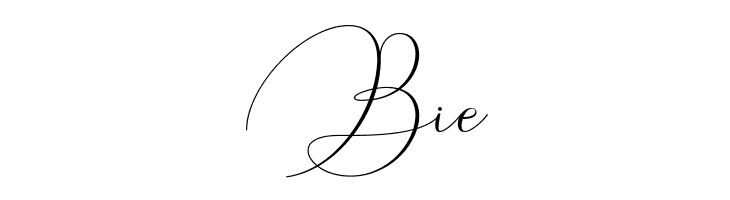 ArgentinaScript-Regular  Free Fonts Download