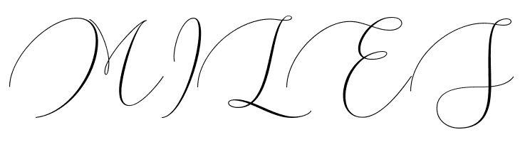 ArgentinaScript-Regular  Free Fonts Download