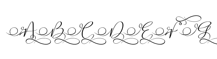 Stella Calligraphy  Free Fonts Download