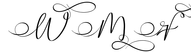 Stella Calligraphy  Free Fonts Download