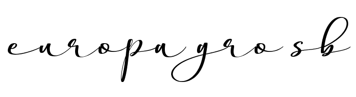 Stella Calligraphy  Free Fonts Download