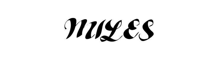 ShampooRegular  Free Fonts Download