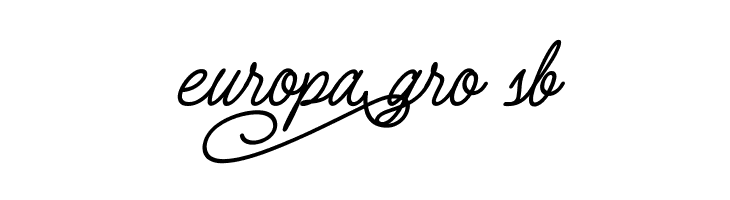 ElectionScript  Free Fonts Download