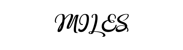Hildor Script  Free Fonts Download