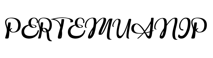 Hildor Script  Free Fonts Download