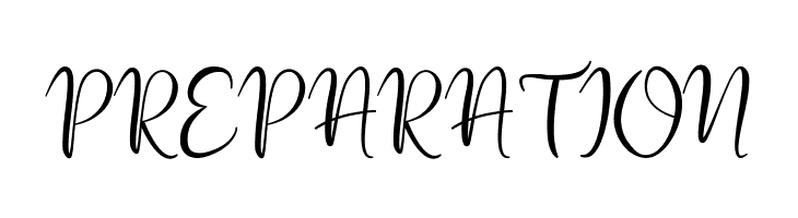 silver soul Script  Free Fonts Download