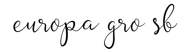 silver soul Script  Free Fonts Download