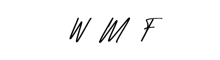 Raidden Italic  Free Fonts Download