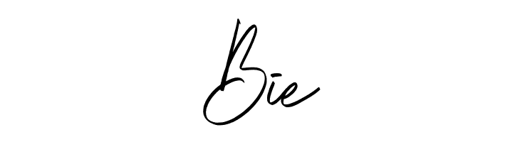 Brightness Reguler  Free Fonts Download