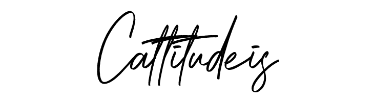 Brightness Reguler  Free Fonts Download