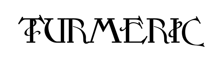 TURMERIC SansLogique Font