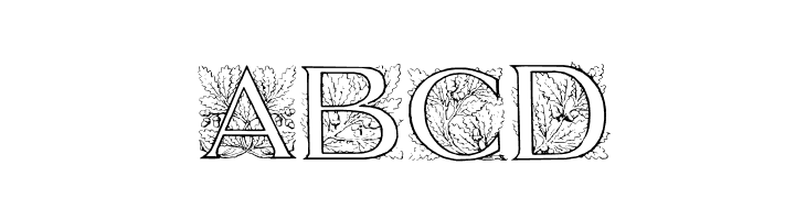 Acorn Initials  Free Fonts Download