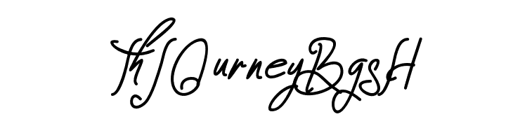 Zeinstore  Free Fonts Download