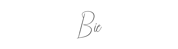 Shaenalle  Free Fonts Download