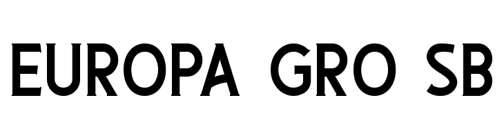 Bayaters RegularDemo  Free Fonts Download
