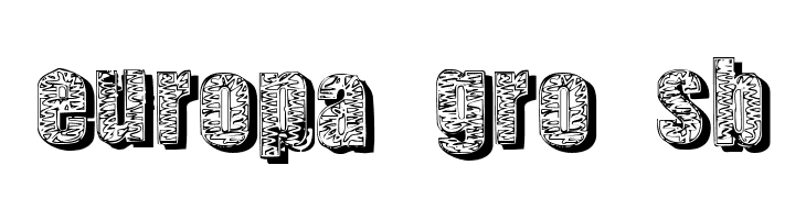Corporate Suit Shadow  Free Fonts Download